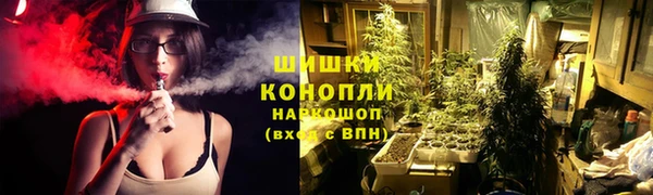 ГАЛЛЮЦИНОГЕННЫЕ ГРИБЫ Белокуриха