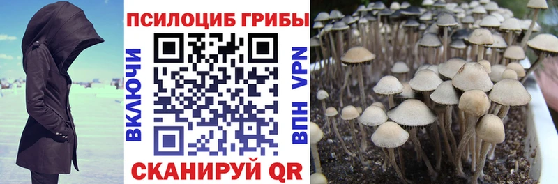 наркотики  Окуловка  mega маркетплейс  Галлюциногенные грибы Magic Shrooms 